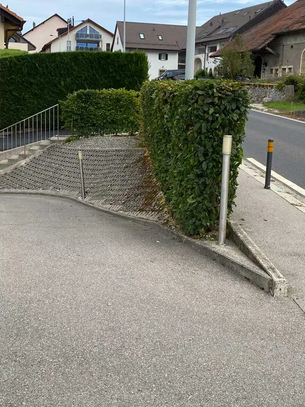 Haie de villa après intervention
