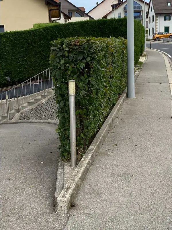 Haie en bordure de route après intervention