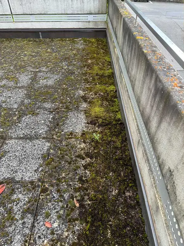 Toit-terrasse avant intervention