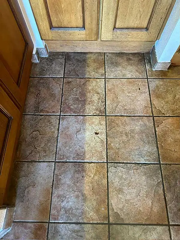Carrelage d'entrée avant intervention